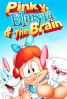 Pinky, Elmyra & the Brain